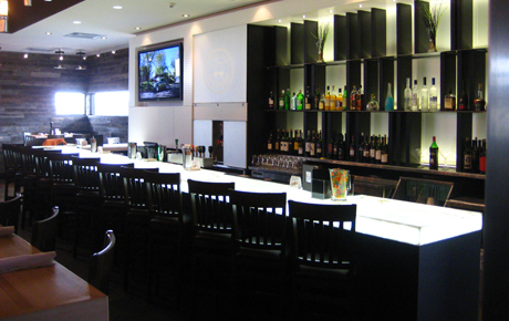 Backlit Onyx Bar LED Light Panel